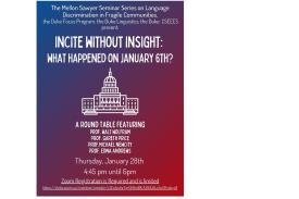 Incite without Insight Flyer